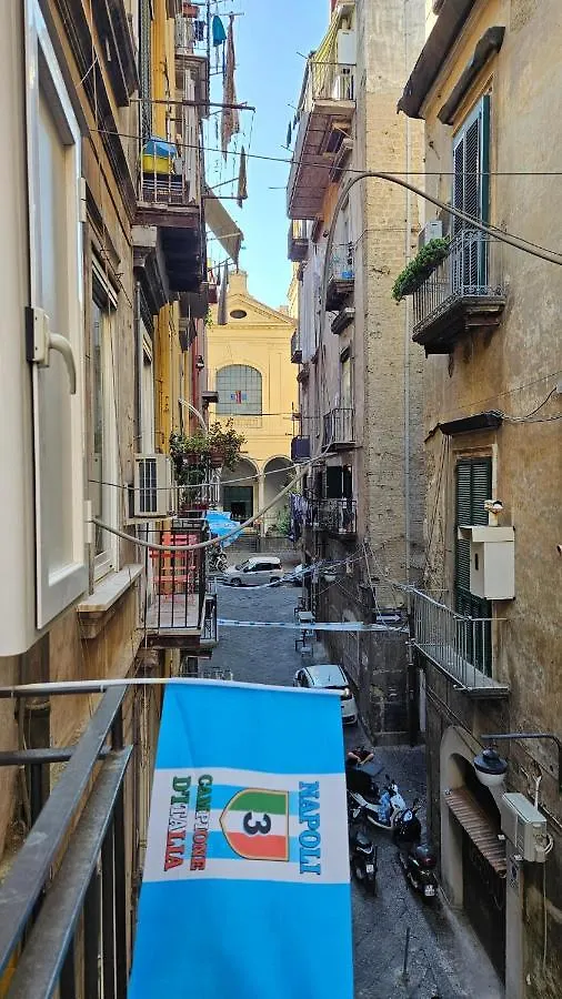 Toledo Suites Naples Guest house